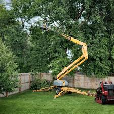 Best Storm Damage Tree Cleanup  in Tampa, FL
