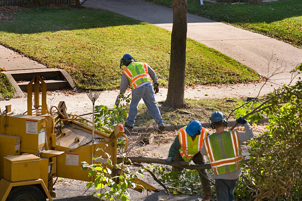 Best Lawn Irrigation Installation and Maintenance  in Tampa, FL